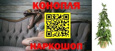 стафф Долгопрудный