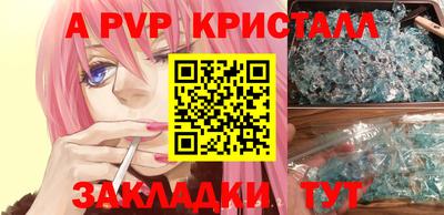 стафф Долгопрудный
