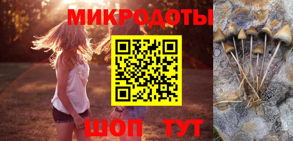 Галлюциногенные грибы мухоморы Кизилюрт