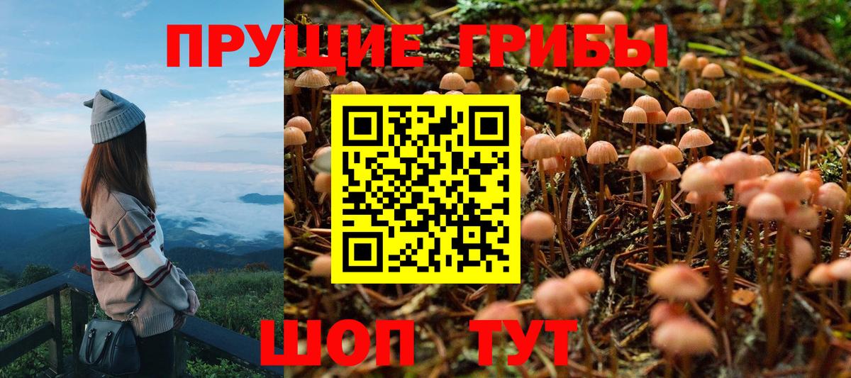 Псилоцибиновые грибы Magic Shrooms  Вход с VPN  Кизилюрт 